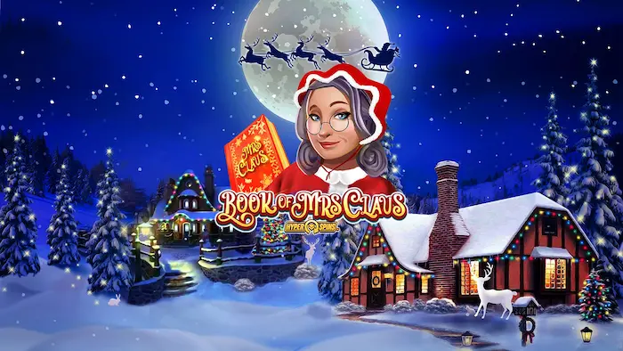 Introduce Book Of Mrs Claus